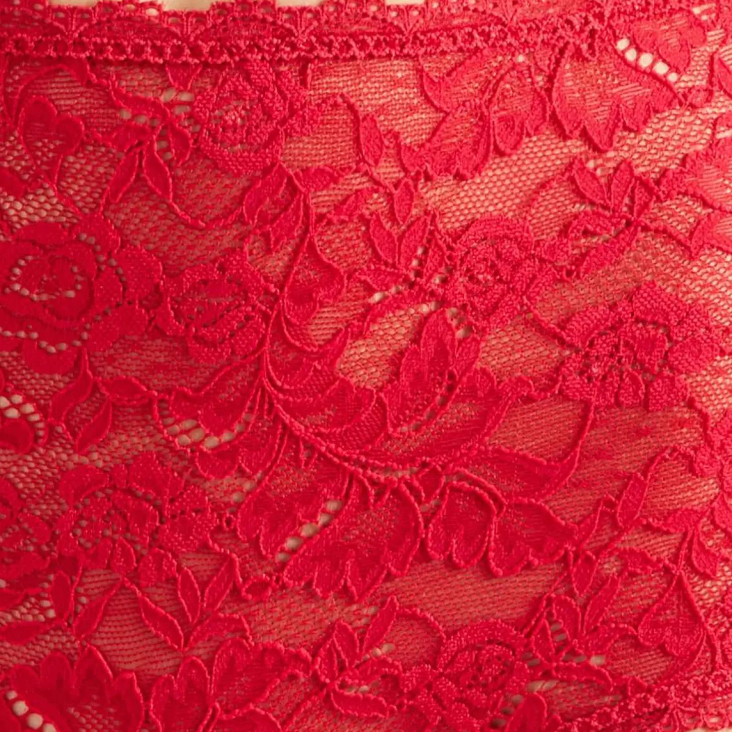 Aubade Rosessence Lace Full Brief