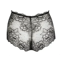 Lise Charmel Sublime en Dentelle Lace Retro Brief