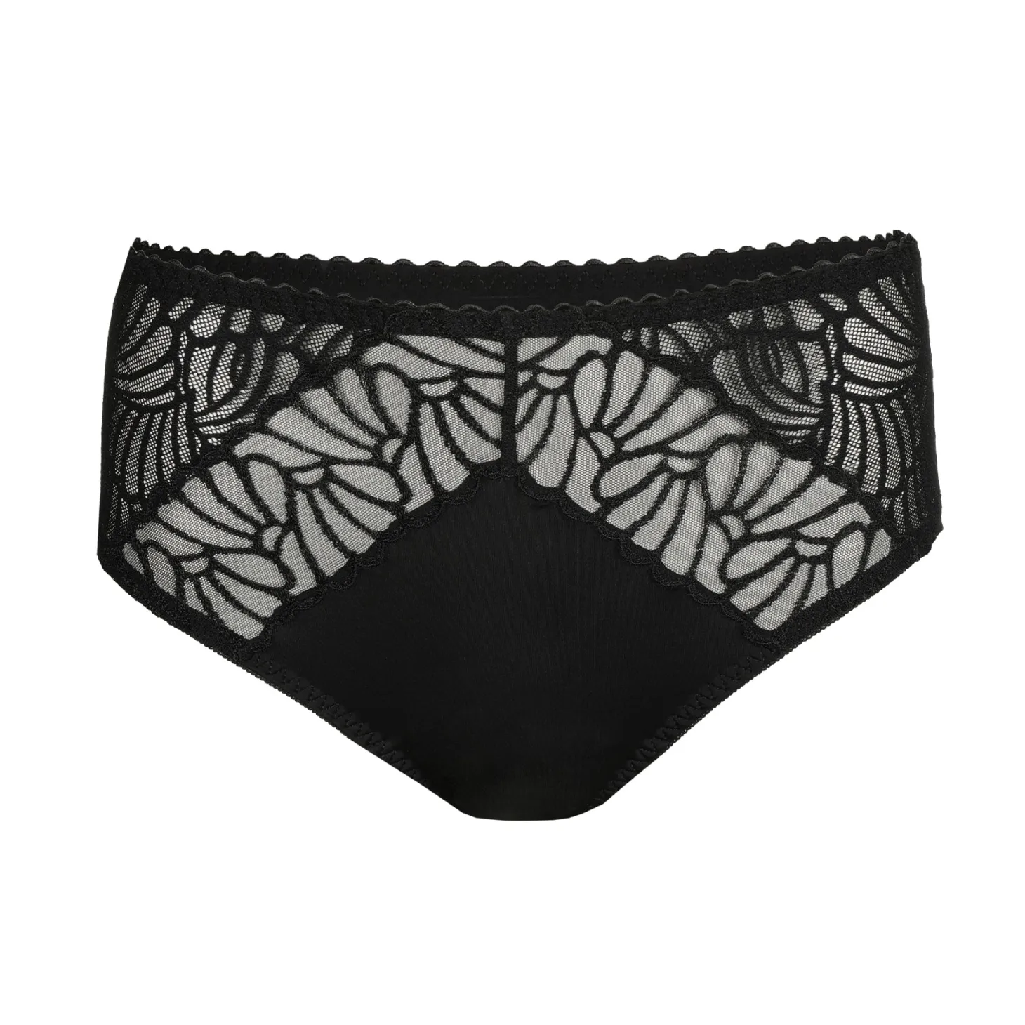 PrimaDonna Gallipoli Full Brief