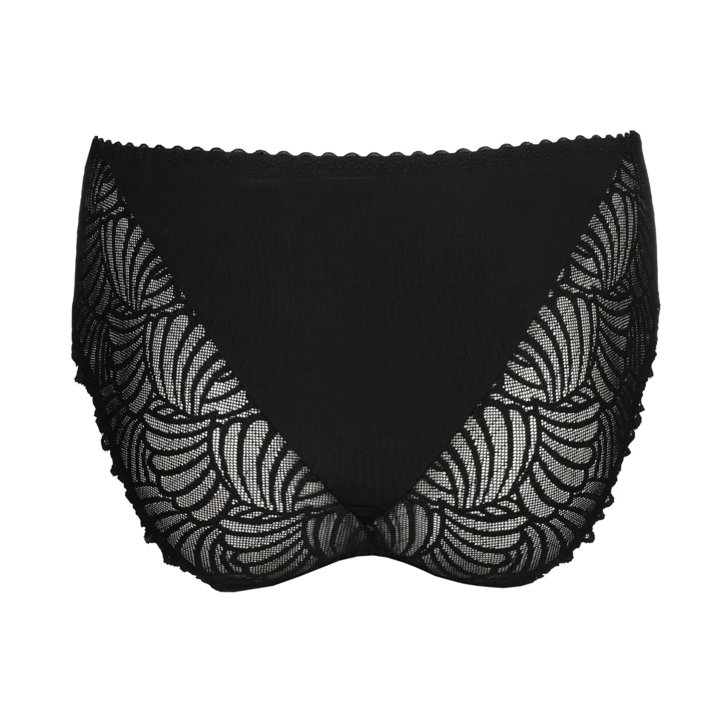 PrimaDonna Gallipoli Full Brief