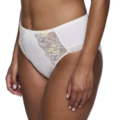 PrimaDonna Novaro Full Brief