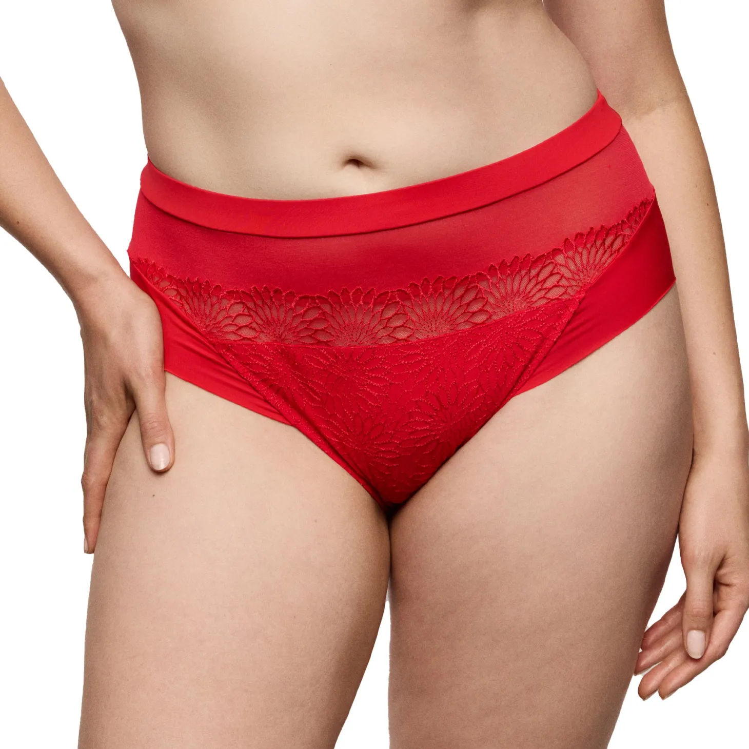 PrimaDonna Sophora Full Brief