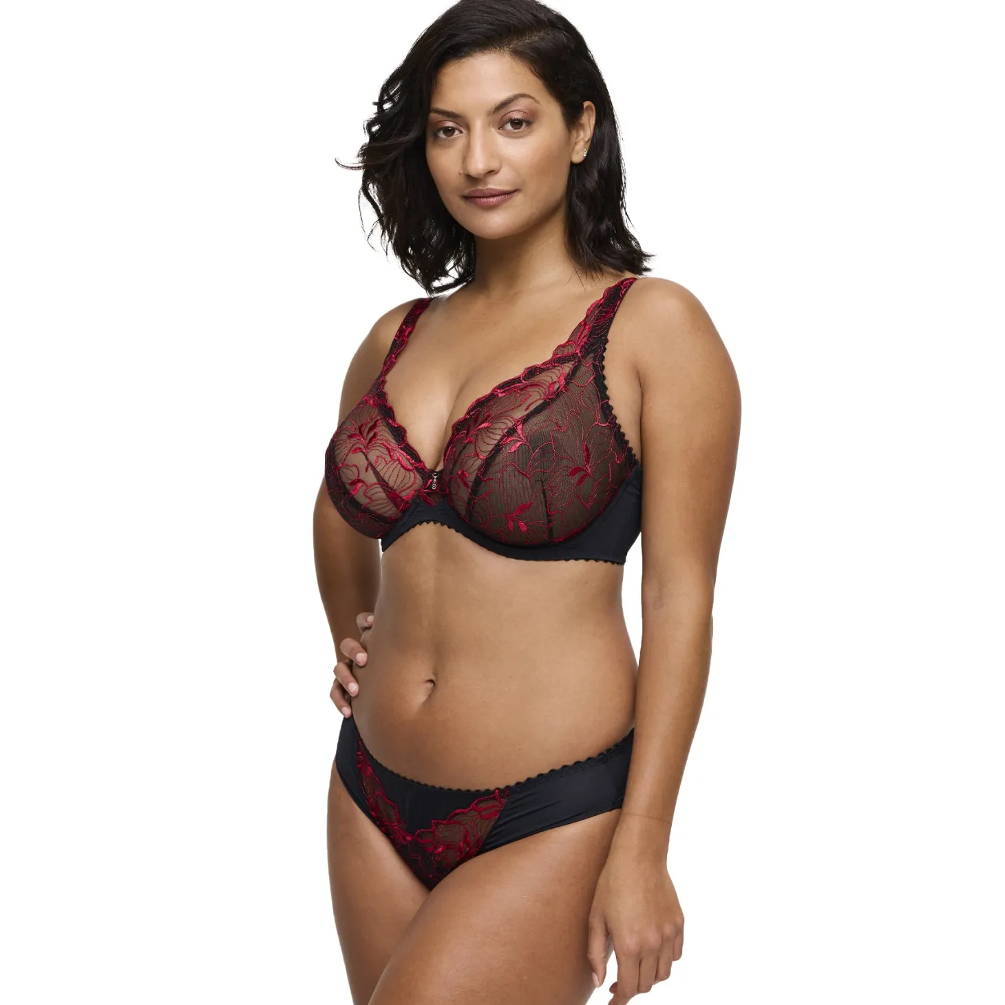 PrimaDonna Springdale Rio Briefs